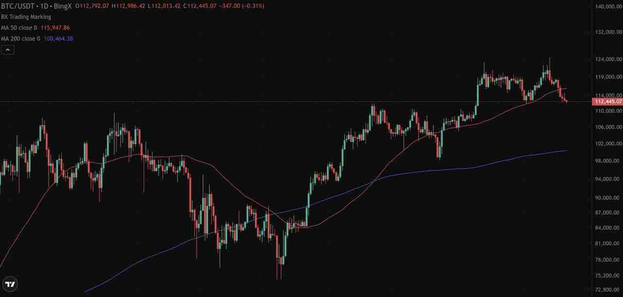 币圈未平仓合约是什么?为何在加密期货交易中重要 ?一文详解